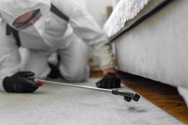 Professional Termite Control technician working in Pea Ridge, FL