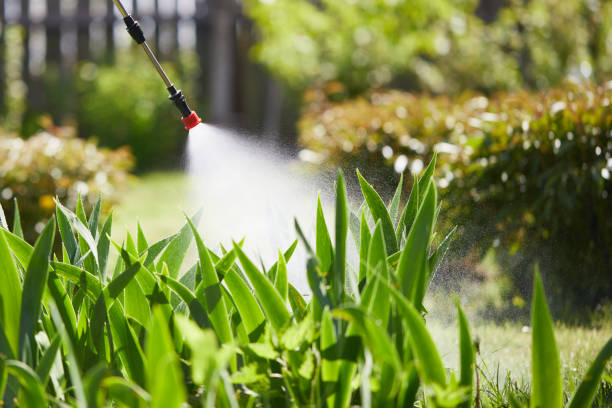 24/7 Emergency Termite Control experts in Pea Ridge, FL