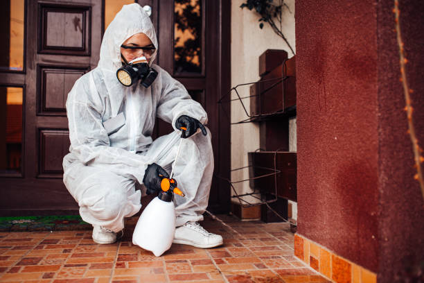Reliable Termite Control contractor in Pea Ridge, FL by Nex Pest Control